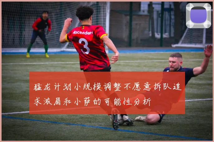 猛龙计划小规模调整不愿意拆队追求浓眉和小萨的可能性分析